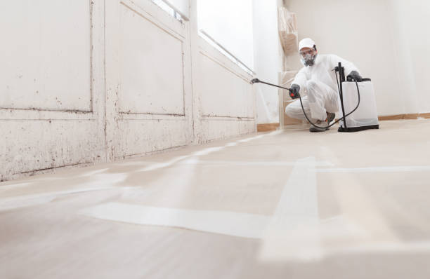 24/7 Emergency Attic Mold Remediation experts in Renton, WA